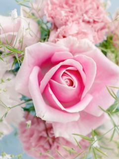 Das Beautiful Pink Rose Wallpaper 240x320