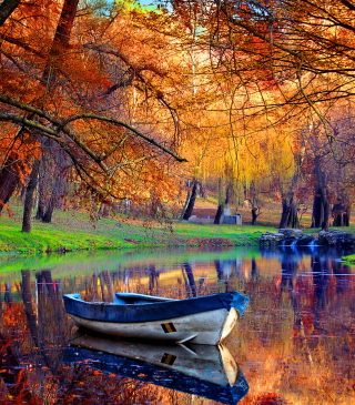 September Autumn River - Obrázkek zdarma pro Nokia C6-01