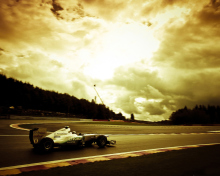 Das Mercedes GP F1 Wallpaper 220x176