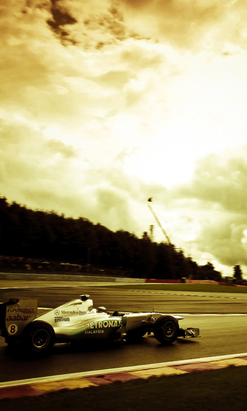 Das Mercedes GP F1 Wallpaper 480x800