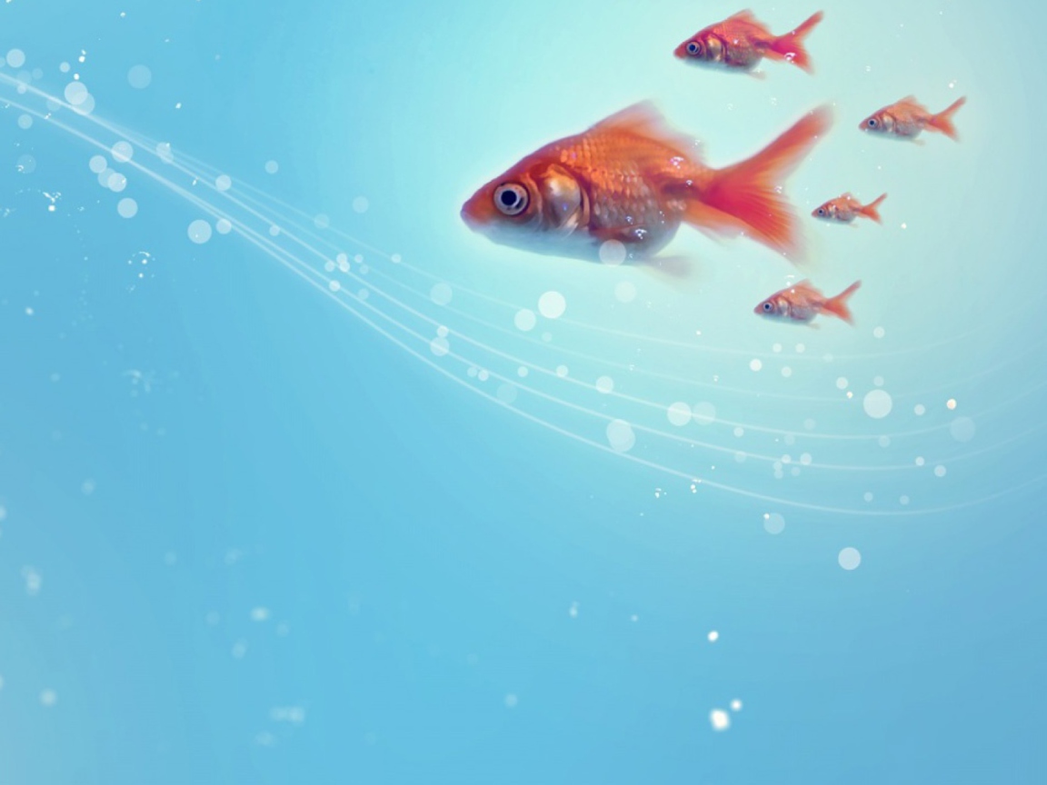 Goldfish screenshot #1 1152x864