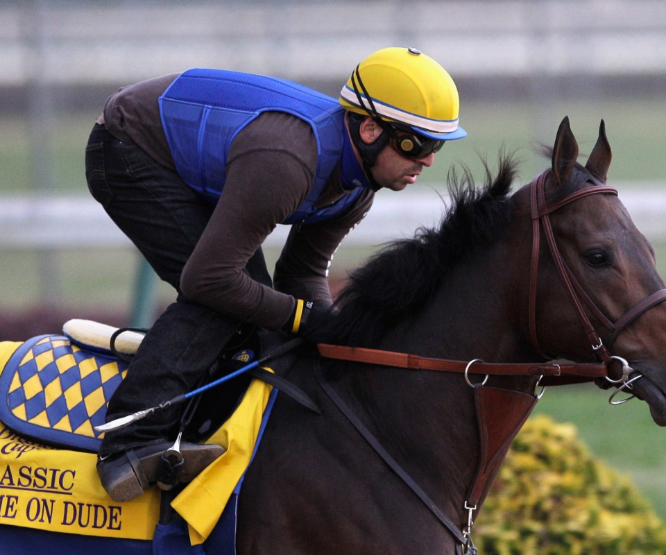 Breeders Cup screenshot #1 960x800