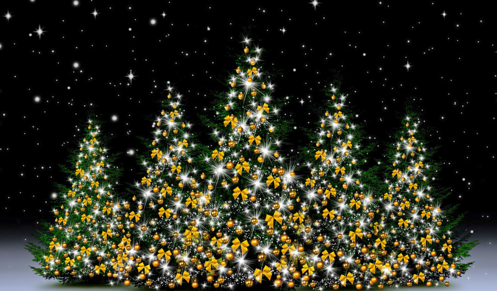 Fondo de pantalla Christmas Trees in Light 1024x600
