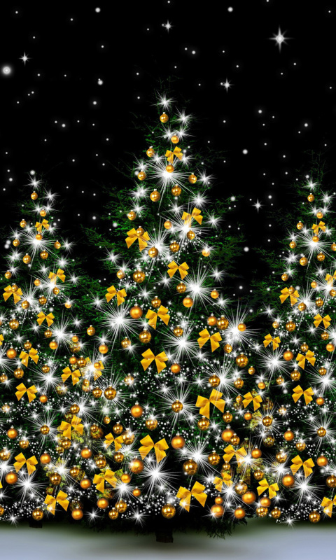 Christmas Trees in Light wallpaper 480x800