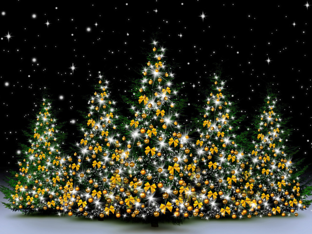 Christmas Trees in Light wallpaper 640x480