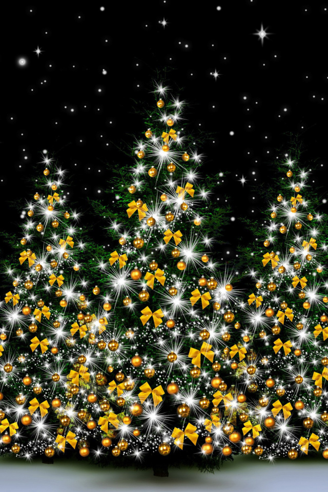 Christmas Trees in Light wallpaper 640x960