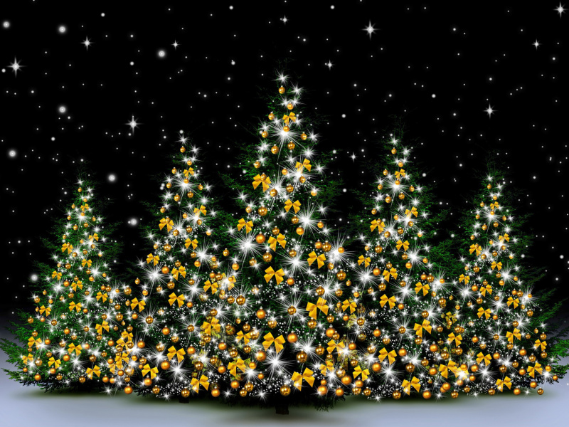 Screenshot №1 pro téma Christmas Trees in Light 800x600