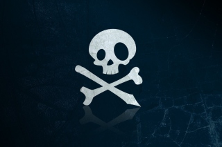 Skull And Bones - Obrázkek zdarma pro Samsung Galaxy Tab 10.1