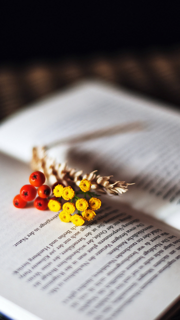 Das Berries And Flowers On Book Wallpaper 360x640
