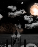 Moonlight Night screenshot #1 128x160