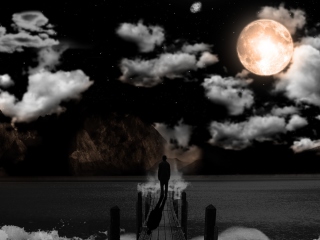Moonlight Night screenshot #1 320x240
