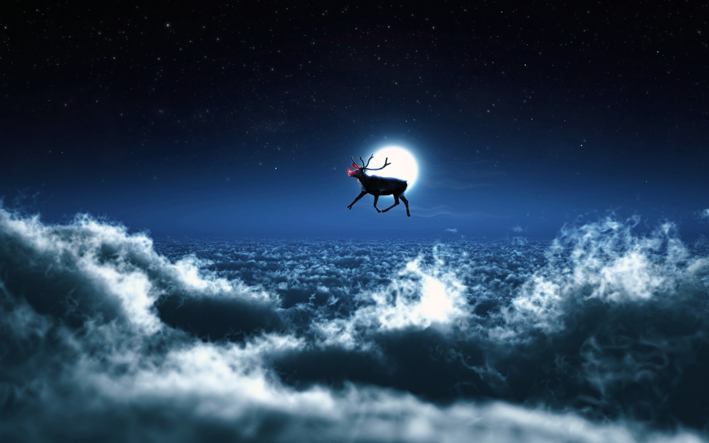 Fondo de pantalla Santa's Reindeer 1440x900