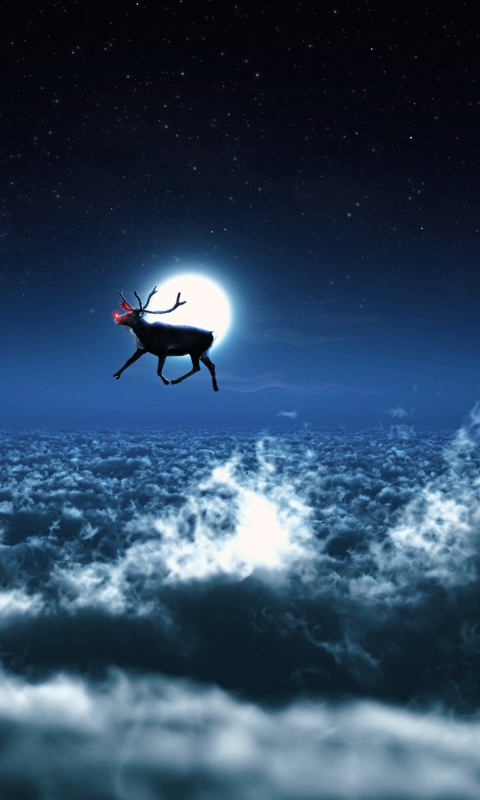 Screenshot №1 pro téma Santa's Reindeer 480x800
