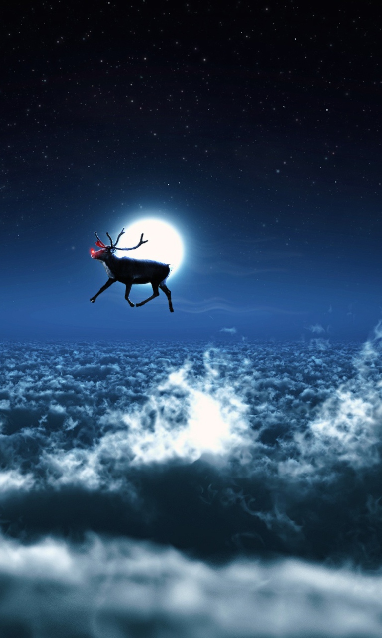 Fondo de pantalla Santa's Reindeer 768x1280