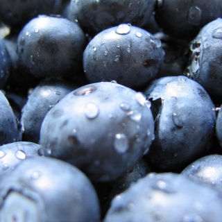 Blueberries sfondi gratuiti per iPad mini