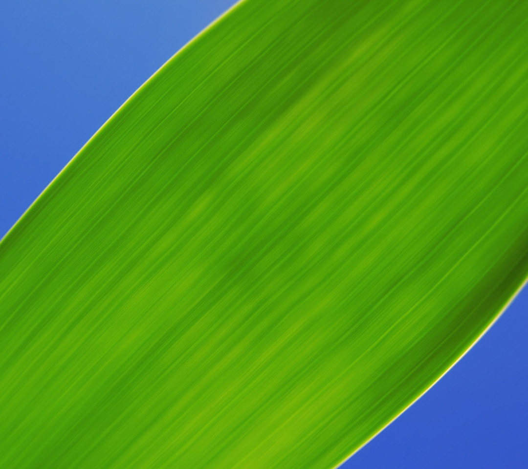 Screenshot №1 pro téma Green Macro Leaf 1080x960