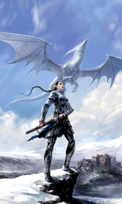 Fondo de pantalla Arcane Elven Warrior in Armor 240x400