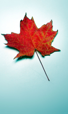 Autumn Leaf screenshot #1 240x400