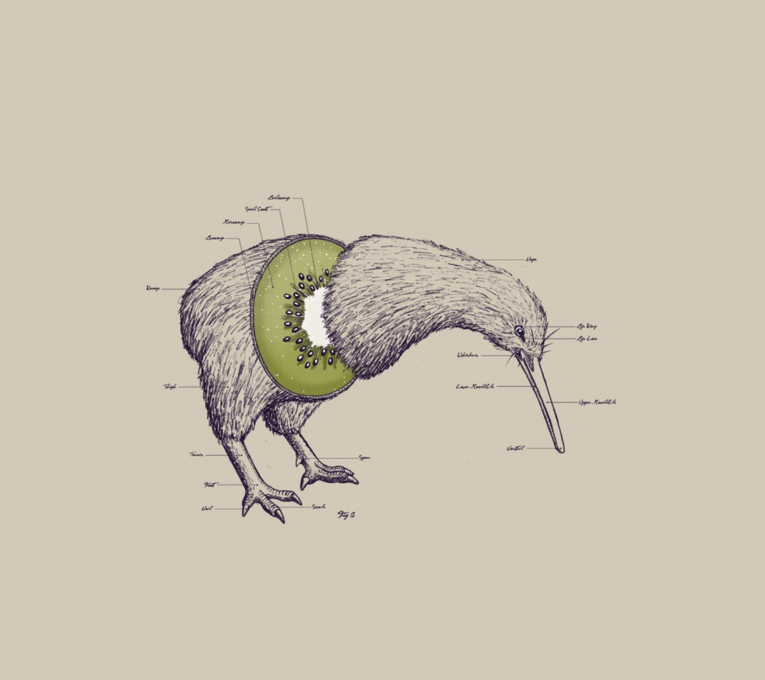 Das Kiwi Bird Wallpaper 1080x960