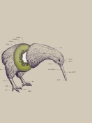 Kiwi Bird wallpaper 132x176