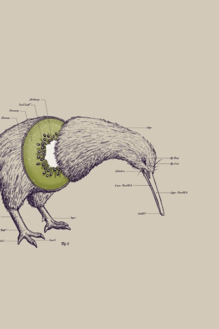 Kiwi Bird screenshot #1 320x480