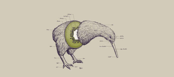 Das Kiwi Bird Wallpaper 720x320