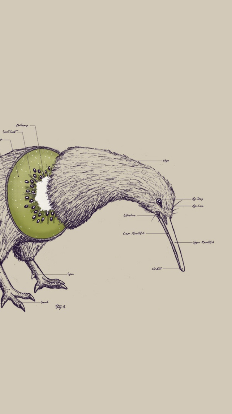 Das Kiwi Bird Wallpaper 750x1334