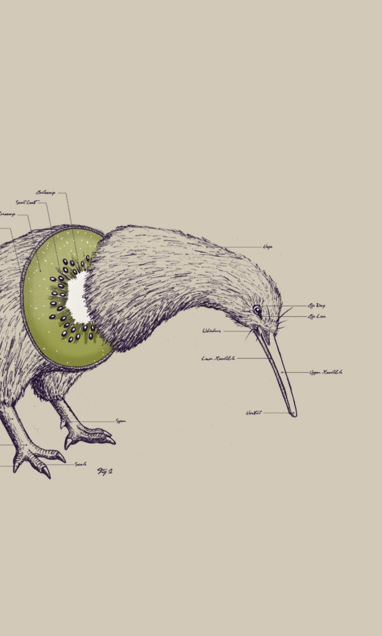 Kiwi Bird screenshot #1 768x1280