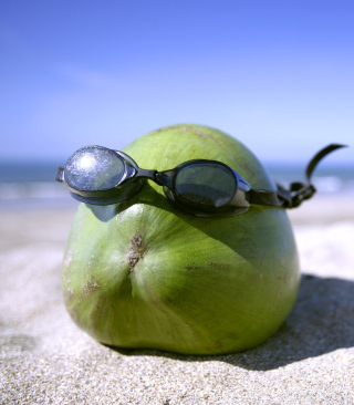 Coconut Sunbathe - Obrázkek zdarma pro iPhone 6 Plus