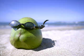Coconut Sunbathe - Obrázkek zdarma pro Motorola DROID 3