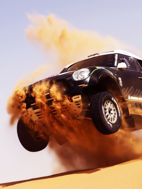 Mini Cooper Countryman Dakar Rally screenshot #1 480x640