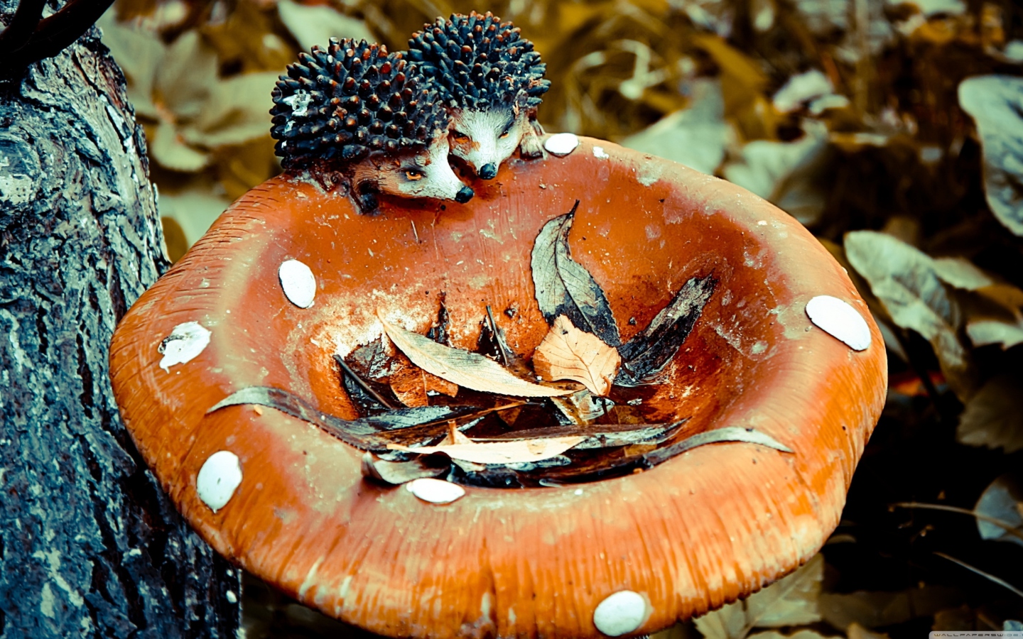 Sfondi Wooden Mushroom And Hedgehogs 1440x900