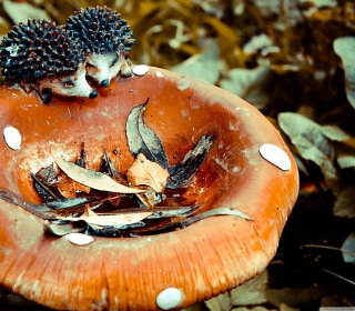 Wooden Mushroom And Hedgehogs - Obrázkek zdarma pro iPad mini