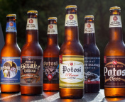 Potosi Brewery, Craft Beer wallpaper 176x144