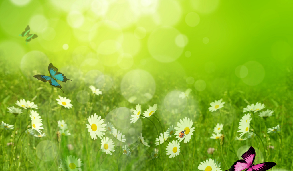 Summer Meadow wallpaper 1024x600