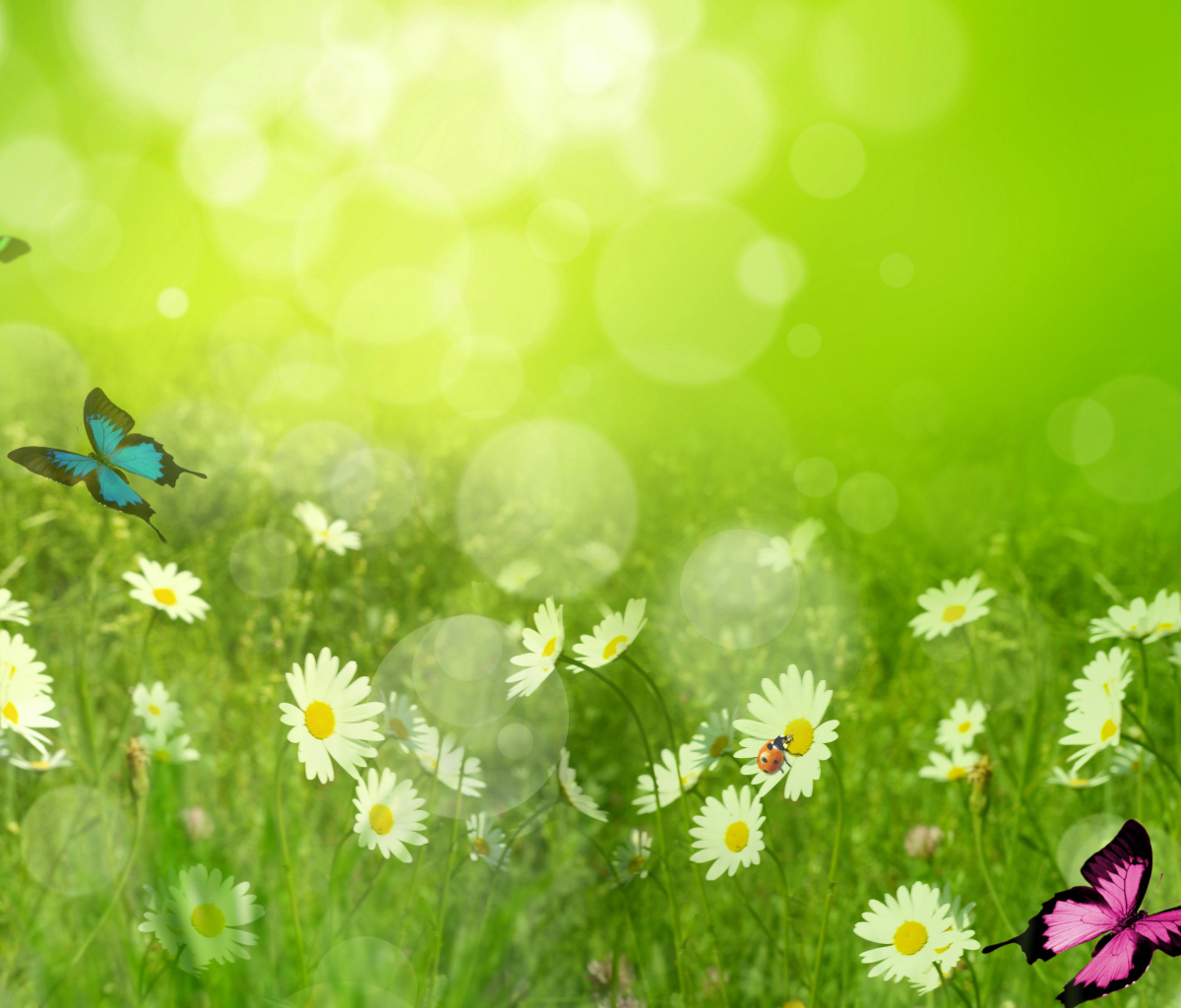 Fondo de pantalla Summer Meadow 1200x1024