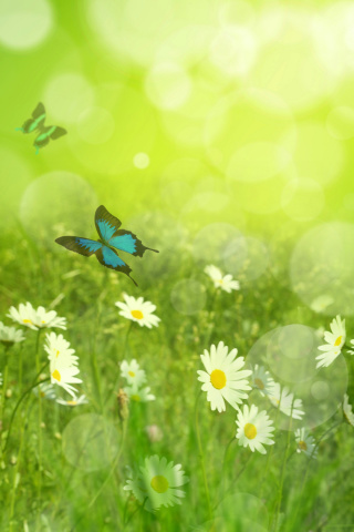 Screenshot №1 pro téma Summer Meadow 320x480