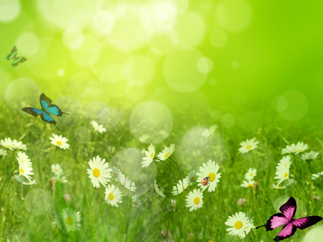 Das Summer Meadow Wallpaper 640x480