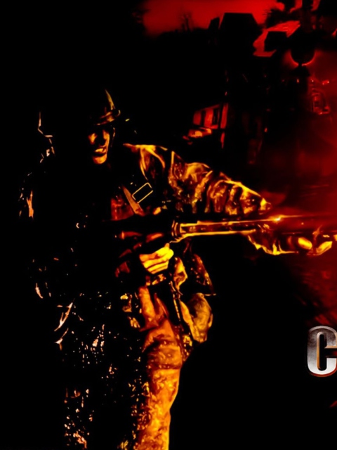 Call Of Duty World At War screenshot #1 480x640