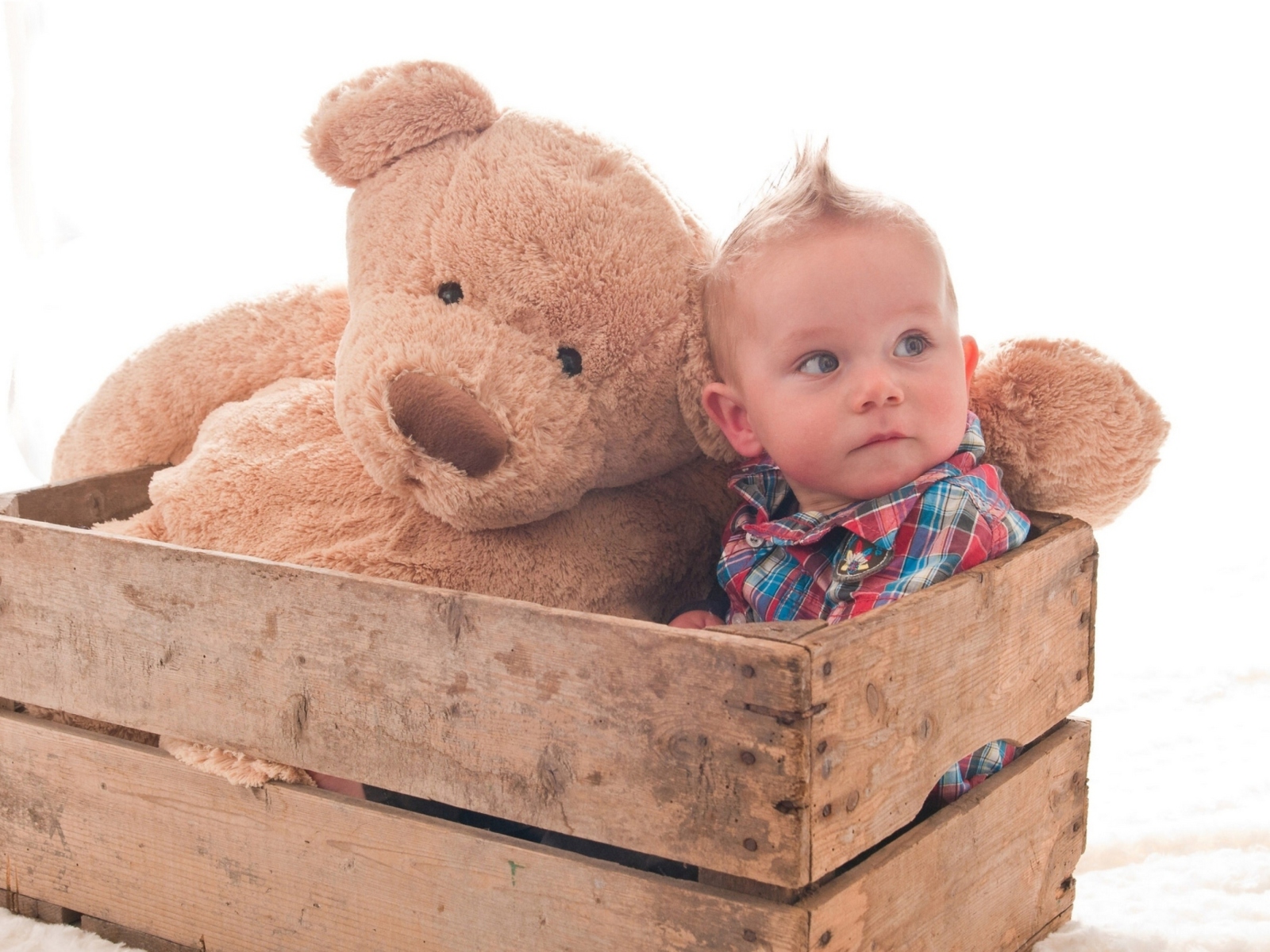 Baby Boy With Teddy Bear screenshot #1 1600x1200