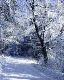 Winter Road in Snow screenshot #1 128x160