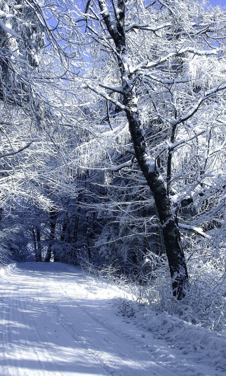 Winter Road in Snow wallpaper 768x1280