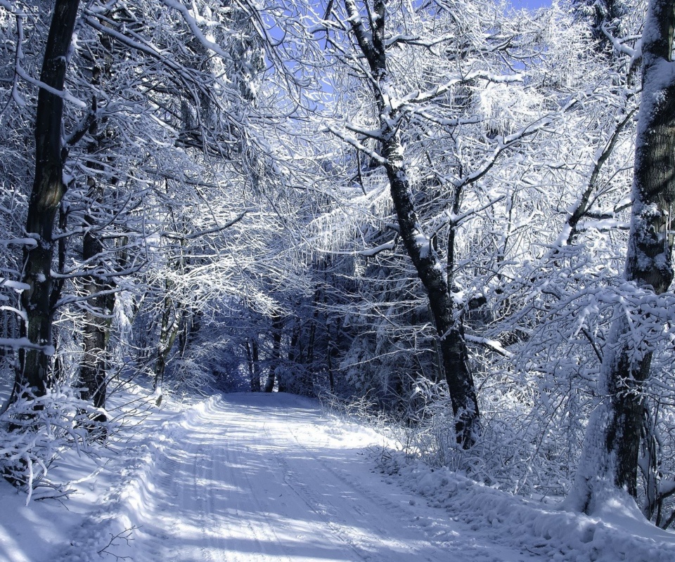 Das Winter Road in Snow Wallpaper 960x800