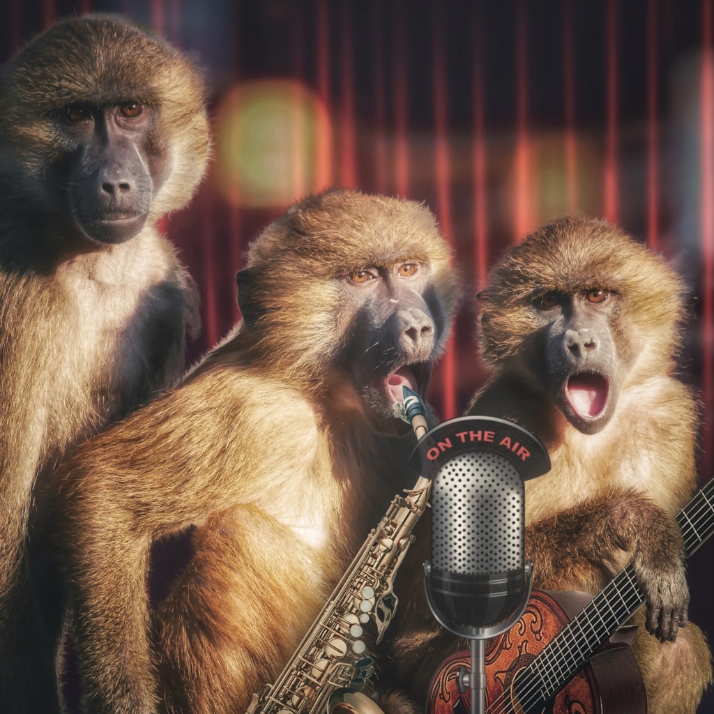 Обои Monkey Concert 1024x1024