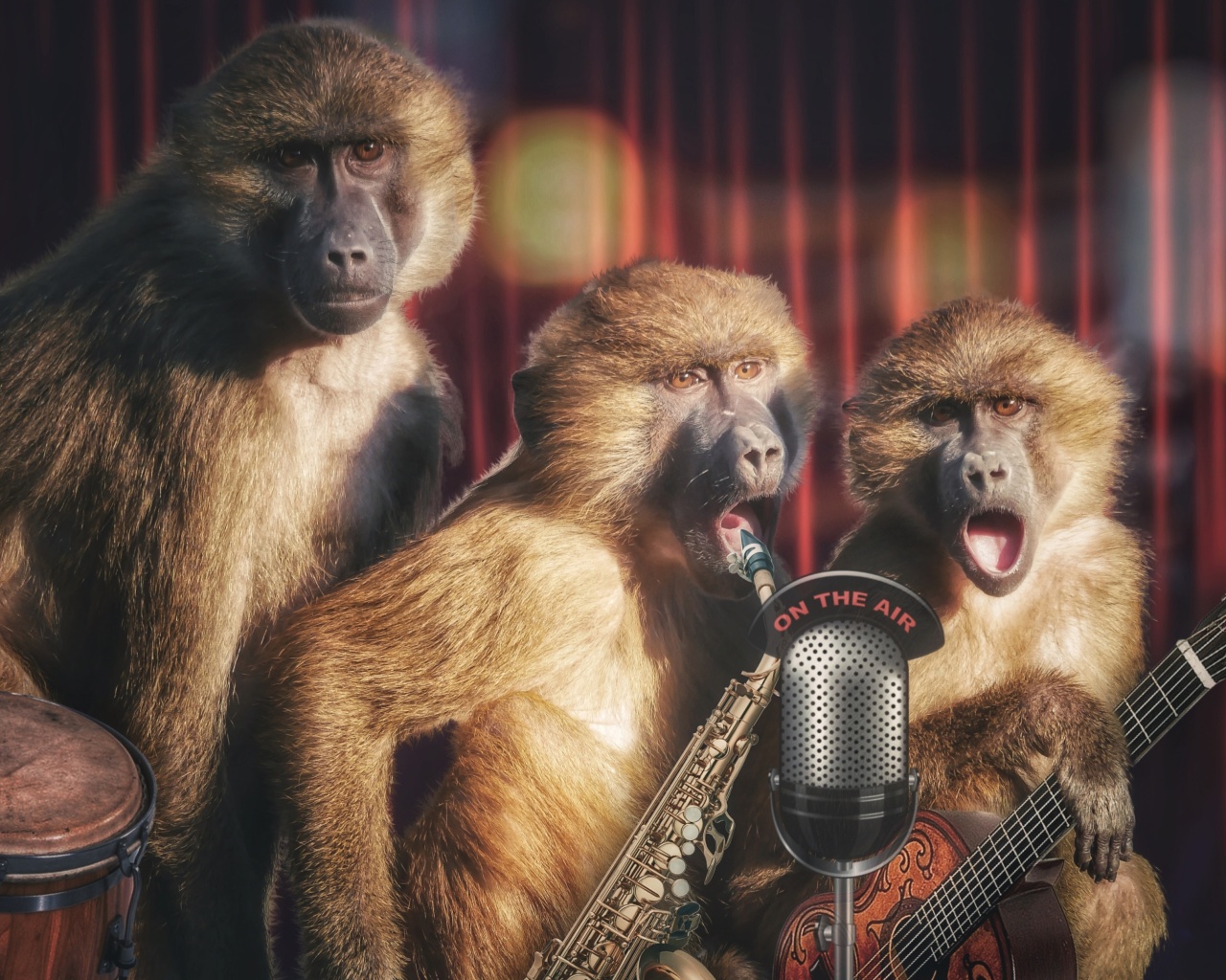 Fondo de pantalla Monkey Concert 1280x1024