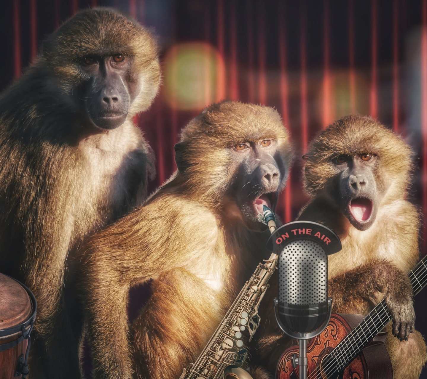 Das Monkey Concert Wallpaper 1440x1280