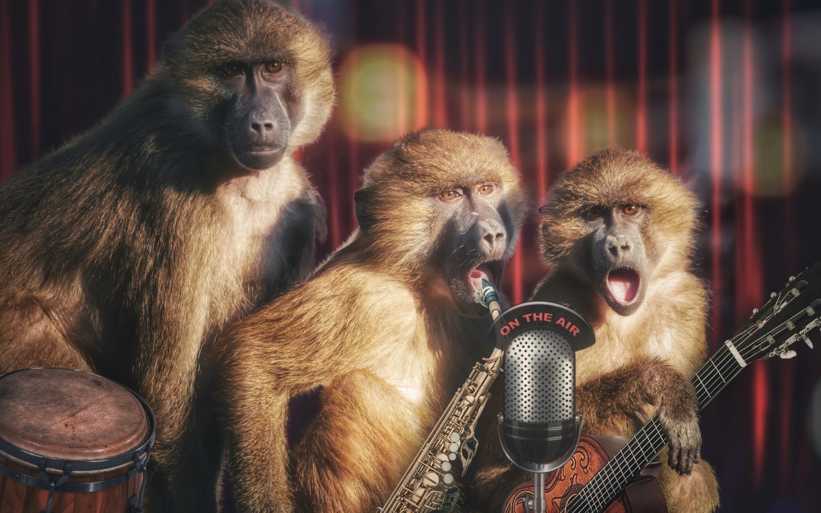 Das Monkey Concert Wallpaper 1680x1050