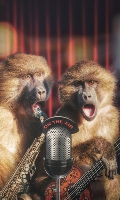 Das Monkey Concert Wallpaper 240x400