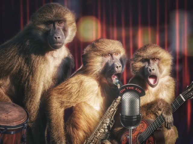 Monkey Concert screenshot #1 640x480