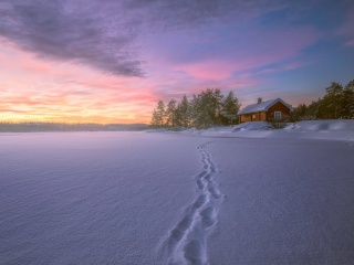 Обои Footprints on snow 320x240
